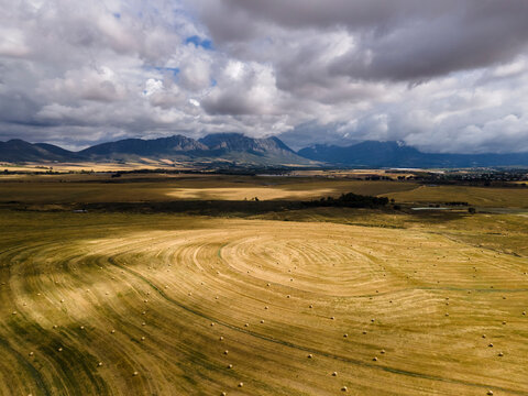 Aerial view of wheat farm harvest in Tulbagh with stormy clouds in background in the Swartland region of the Western Cape, South Africa.