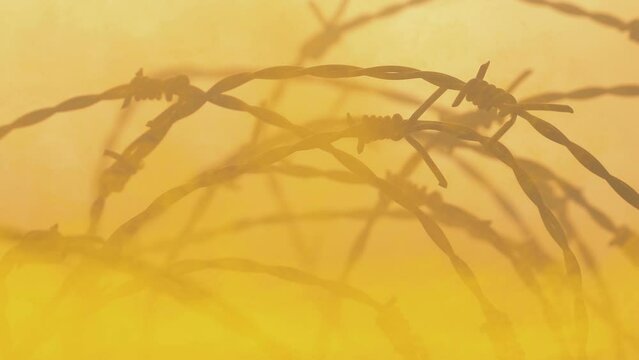 Chemical Warfare Mustard Gas Swirling Around Barbed Wire