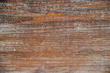 The texture of the tree. Natural pattern on a wooden background. Worn white paint on wood.