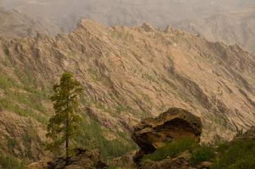 Landscape in the Integral Natural Reserve of Inagua. Gran Canaria. Canary Islands. Spain.