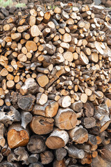 Stacked firewood offside the houses on the slopes of the Valle Gran Rey on La Gomera. The valley of the great king, with its beauty and diversity, invites to hike and exploring of the environment