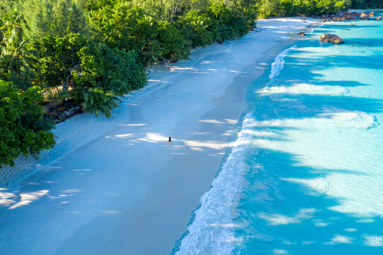 Aerial view of a person walking barefoot on the empty paradise beach of Anse Lazio, Grand Anse, Seychelles.