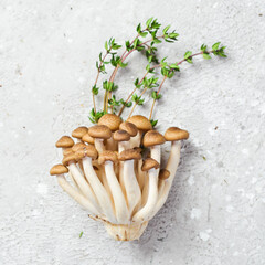 Brown beech mushrooms or Shimeji mushroom. on a stone table. Top view.