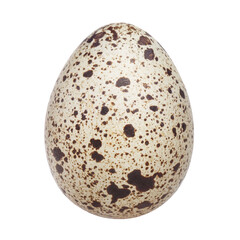 Delicious quail egg close-up, isolated on white background