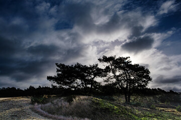Leuvenumse bossen, Hulshortserzand