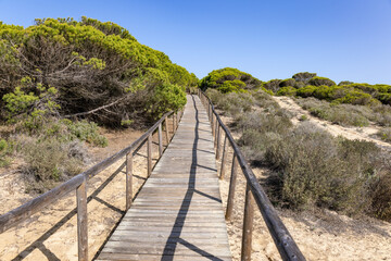 Wooden pathway over dunes and pines at beach in Punta Umbria, Huelva. Los Enebrales beach - obrazy, fototapety, plakaty