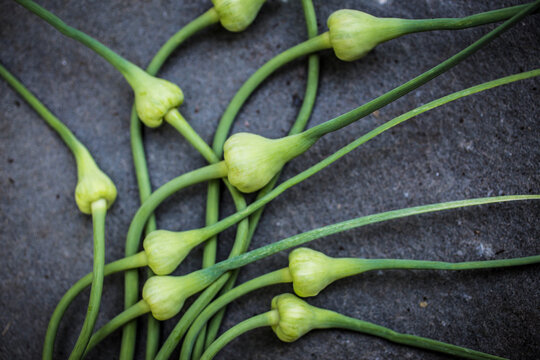 Several Baby Garlic Scapes on Black Countertop