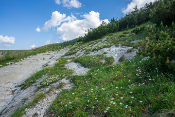 Tourist trail through Boczan. Western Tatras.