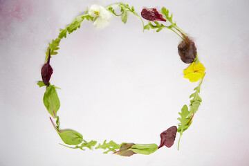 Salad mix circle: arugula, chard, bulls blood, flowers. Healthy cooking and proper nutrition concept. Food background. Natural herbs top view. Copy space