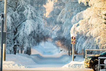  Blurred winter background.