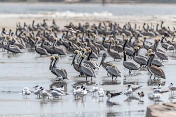 Fototapeta premium creative