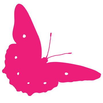 illustrated pink butterfly