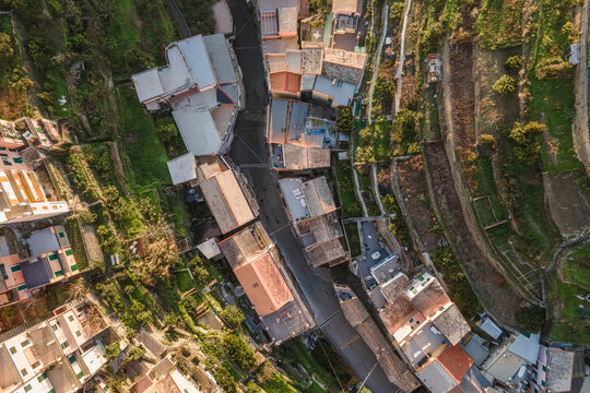 Aerial view of vineyard terraces in Manarola, Cinque Terre, Liguria, Italy.