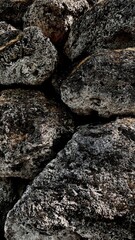 wall
