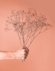 Man hand holding dried flowers bouquet on pastel background. Man giving gentle flowers....