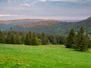 Blick über den Hochschwarzwald in Baden Württemberg