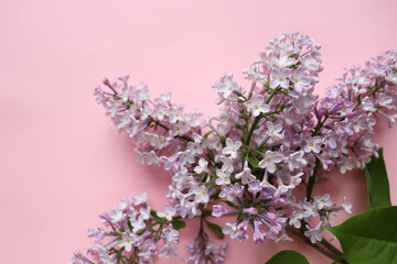 spring background. postcard mockup. lilac bouquet and space for text 