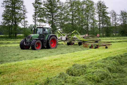 Traktor mit angeh&auml;ngtem Grasschwader beim Zusammenziehen von breit verteiltem Gras.