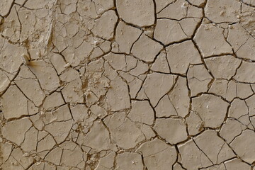 Tierra seca y agrietada debido a la sequía y al cambio climático