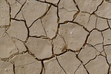 Tierras secas y agrietadas por la sequía y el cambio climático
