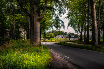A highway between the meadows and farms in the Netherlands