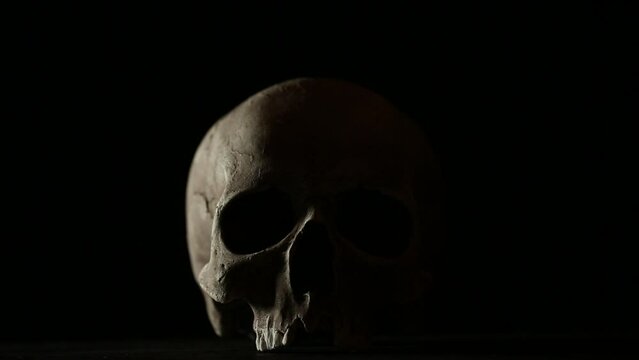 Old human skull appears against black background. Dramatic play of light
