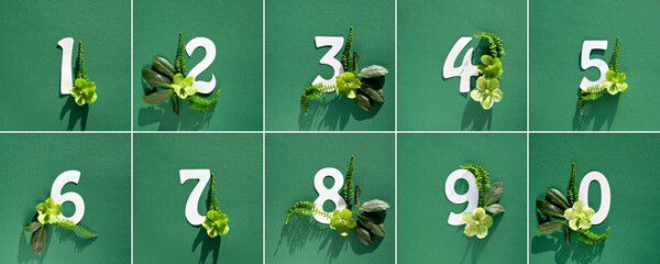 White paper numbers one to ten and zero on green. White and green helleborus winter rose flowers, fern leaves on green background. Floral arrangement, square flat lay. Composite image, design elements