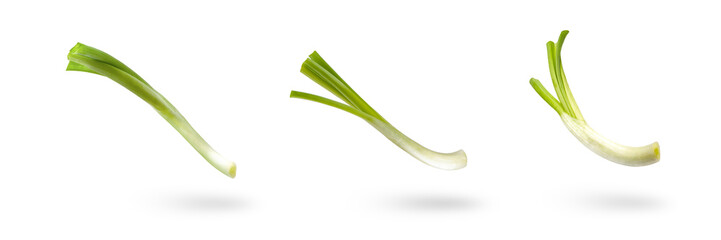 Set sliced green onion on a white background. Green onion slices fall or fly, casting a shadow