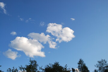 Obraz premium A small white cloud in a clear blue sky. Small cumulus clouds float across the light blue sky. They form a small group next to each other. Clouds of various shapes and sizes.