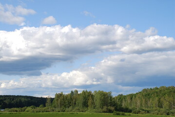 Obraz premium White-gray clouds over the forest. In the rays of the sun, large cumulus white-gray clouds majestically float across the light blue sky. They spread out over the forest, their forms are varied.