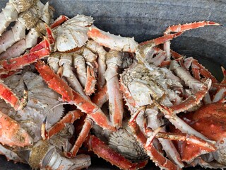crab cooked in field conditions. Sakhalin crab, tentacles and its parts close-up on a plate. Close-up of sea food, a delicacy.