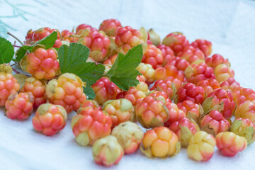 cloudberry berries on a background of crumpled blue paper
