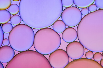 beautiful and bright macro backgrounds