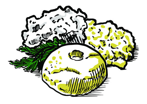 Moldavian national dish mamaliga, scrob egg, cottage cheese. Vector illustration sketch of food