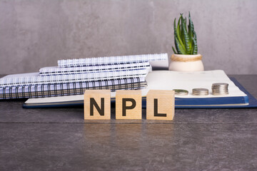 the npl word is written on wooden cubes on a gray background. close-up of wooden elements. In the background is a green flower in a tub. npl - short for Non Performing Loans - obrazy, fototapety, plakaty