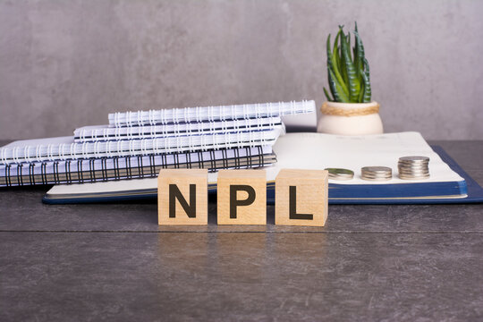 the npl word is written on wooden cubes on a gray background. close-up of wooden elements. In the background is a green flower in a tub. npl - short for Non Performing Loans