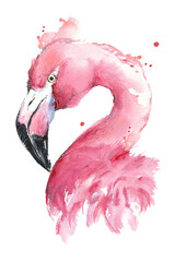 Watercolor pink flamingo on white background. Pink bird. Tropical bird.