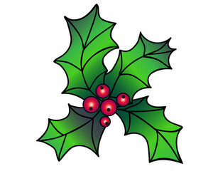 Holly leaves and berries, Christmas plant - vector full color picture. Holly leaves and berries, evergreen shrub