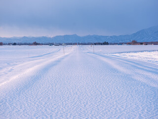 雪が積もった道路