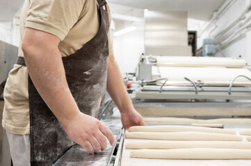 Baker working at industrial bakery preparing trays with fresh loaf. High quality photo