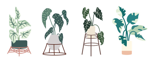 Set of flat popular potted plants on stands. Flat vector graphics.