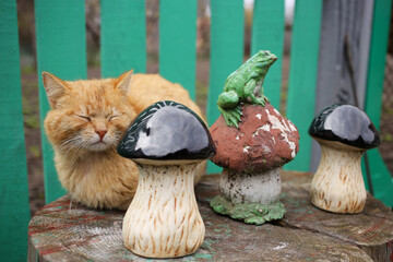 Young sleepy red cat seats near the plaster figure of mushroom.