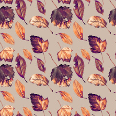 Autumn leaves in watercolor, seamless pattern for printing on fabric or paper. - 485679280