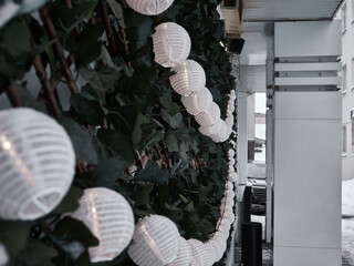 Green wall with small Chinese paper lanterns. House facade design.