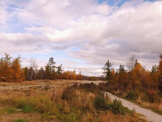 Obraz premium autumn in the mountains