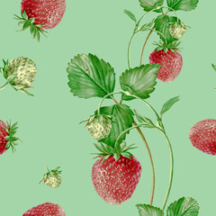 Watercolor seamless strawberry pattern. Strawberry garden, botanical illustration, pattern of bushes and berries. - 485680481