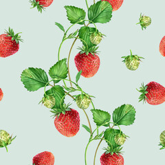Watercolor seamless strawberry pattern. Strawberry garden, botanical illustration, pattern of bushes and berries. - 485680482