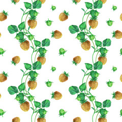 Watercolor seamless strawberry pattern. Strawberry garden, botanical illustration, pattern of bushes and berries. - 485680483