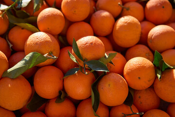Full Frame Shot Of Oranges. Oranges For Sale At Market Stall.