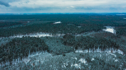 Beautiful forest in the winter.   Aerial view of the pine forest in the winter. Top view to the...